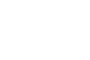 Logo Funda in Business Wit