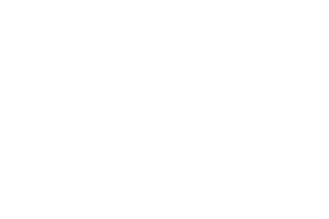 Logo NRVT Wit