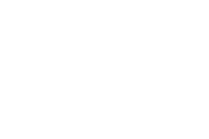 Logo NVM wit