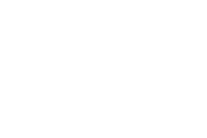 Logo VastgoedCert Wit